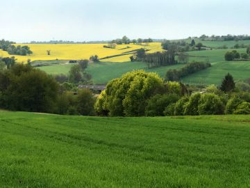 Landwirtschaft